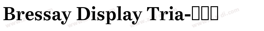 Bressay Display Tria字体转换